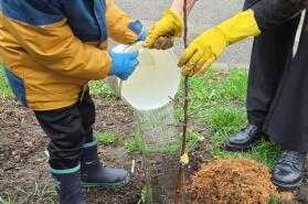 ,,Au ieșit la soare gâze și fluturași, Plină este curtea și de copilași… ☀️🌸